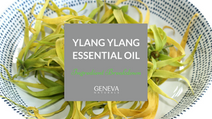 ingredient breakdown ylang ylang oil