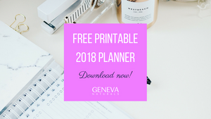 Free Printable 2018 Conquer the Day Planner: Daily and Weekly!