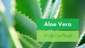 10 aloe vera skin care benefits