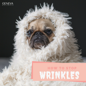 How to Stop Wrinkles Before They Form
