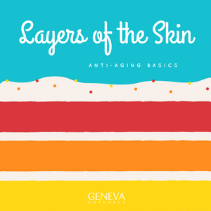 Layers of the Skin
