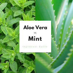 aloe vera vs mint ingredient battle