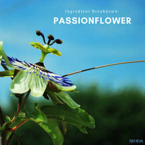 ingredient breakdown passionflower