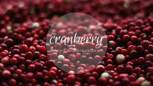 Ingredient Breakdown: Cranberry