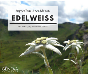 Ingredient Breakdown: Edelweiss